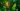 Como Evitar Que Sua Planta Bird of Paradise Queime ao Expor-se ao Sol