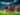 Futebol e Campeonato Brasileiro ganham destaque com vitória do Flamengo no Maracanã