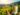 Vinho Verde: a essência da inovação e tradição das vinícolas de Portugal